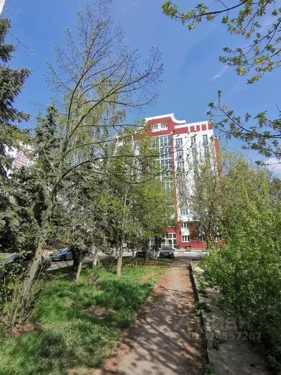 1-к кв. Орловская область, Орел ул. Андрианова, 33 (36.2 м) - Фото 1
