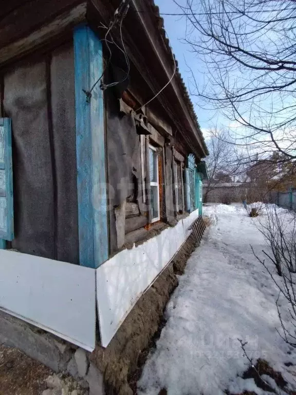 Дом в Амурская область, Тамбовский муниципальный округ, с. Раздольное ... - Фото 1