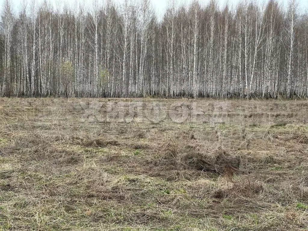 Участок 10 сот. (ИЖС) - Фото 0