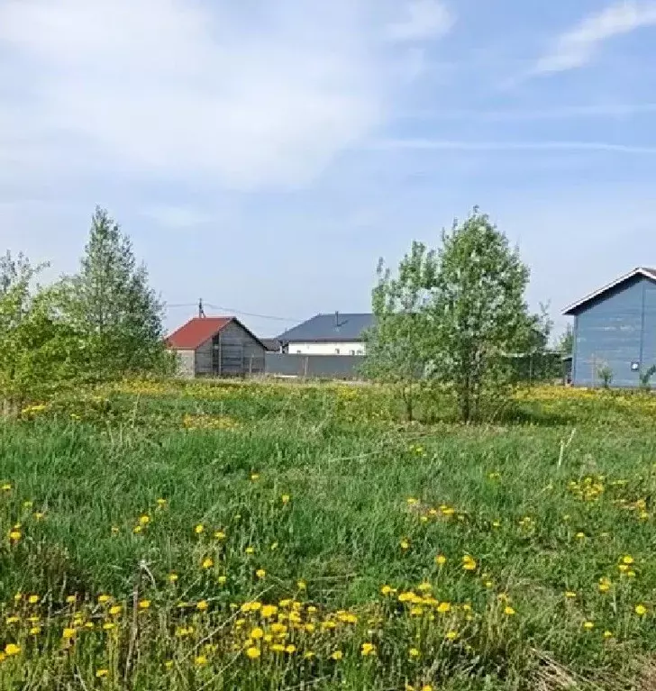 Участок в Ленинградская область, Ломоносовский район, Гостилицкое ... - Фото 2