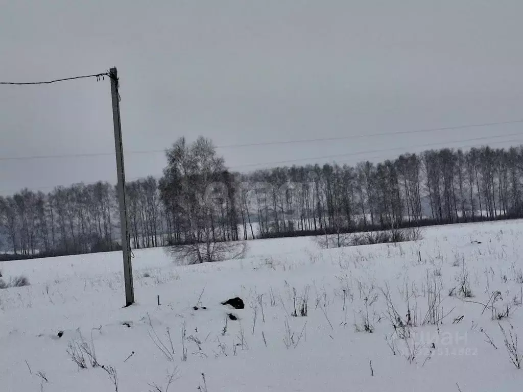 Участок в Мордовия, Кочкуровский район, с. Подлесная Тавла  (10.0 ... - Фото 2