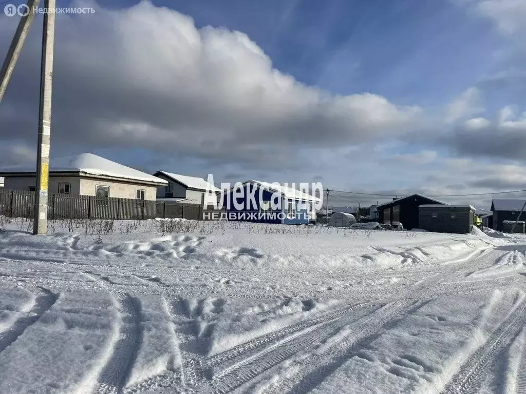 Участок в Тосненский район, Никольское городское поселение, деревня ... - Фото 2