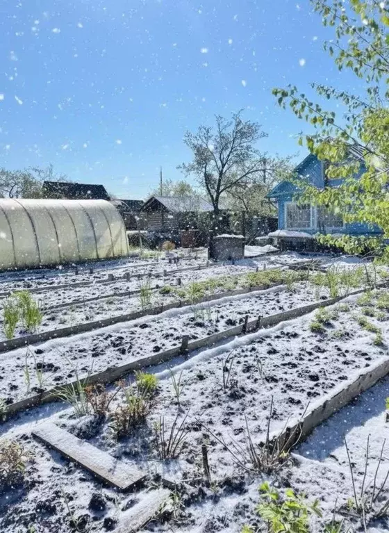 Участок в Вологодская область, Череповец № 1 ЧСПЗ СНТ, 174 (4.95 сот.) - Фото 1