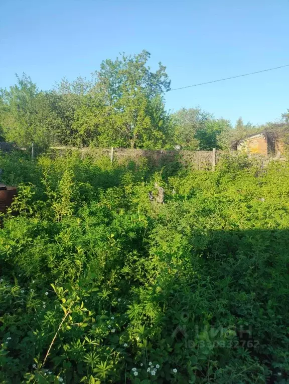 Участок в Пензенская область, Пенза Восход СДТ, 31 (4.2 сот.) - Фото 1