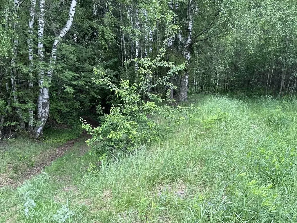 Участок в Нижегородская область, Городецкий муниципальный округ, д. ... - Фото 1