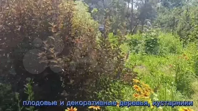 Дача 33 м на участке 6 сот. - Фото 1
