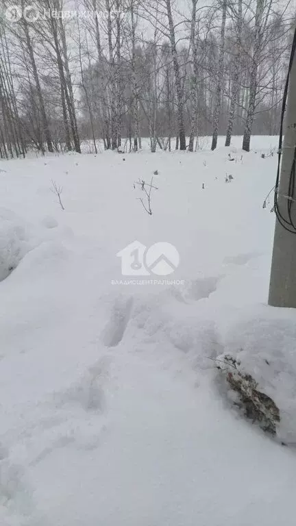 Участок в Барлакский сельсовет (6 м) - Фото 2