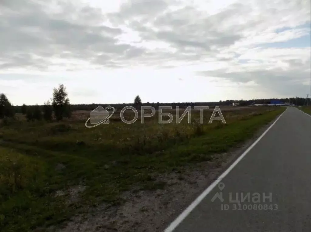 Участок в Тюменская область, Нижнетавдинский район, Царицыно СНТ  ... - Фото 1