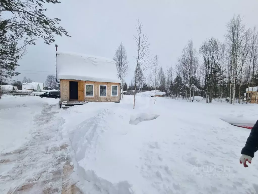 Дом в Архангельская область, Приморский муниципальный округ, Помор СНТ ... - Фото 2