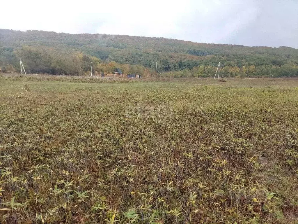 Участок в Адыгея, Майкопский район, Победенское с/пос, пос. Совхозный ... - Фото 1