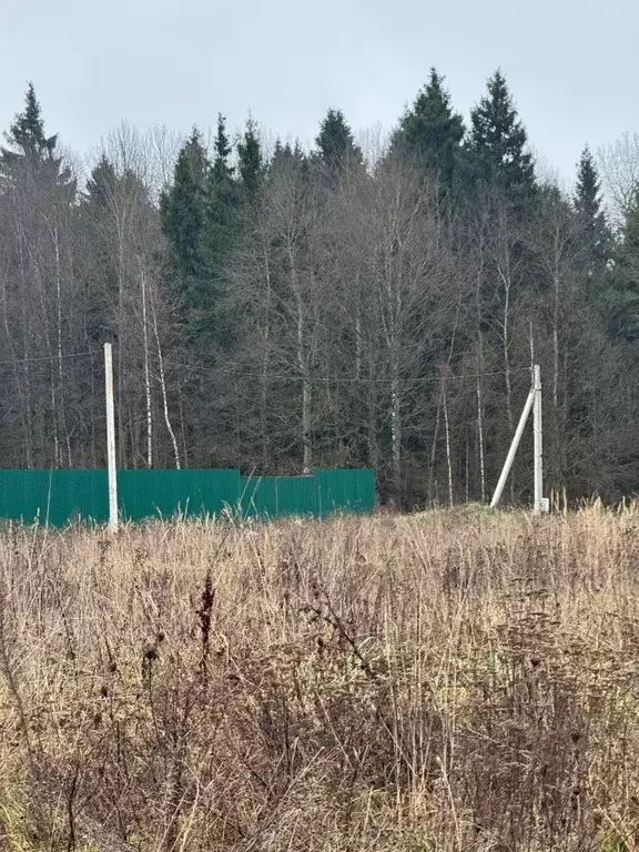 Участок в Московская область, Рузский муниципальный округ, д. ... - Фото 1