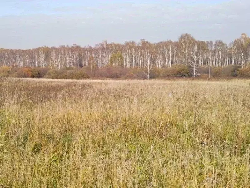 Участок в Новосибирская область, Новосибирский район, Станционный ... - Фото 0