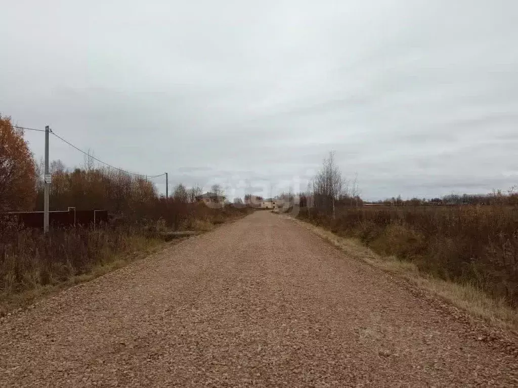 Участок в Ярославская область, Ярославский муниципальный округ, Новые ... - Фото 2