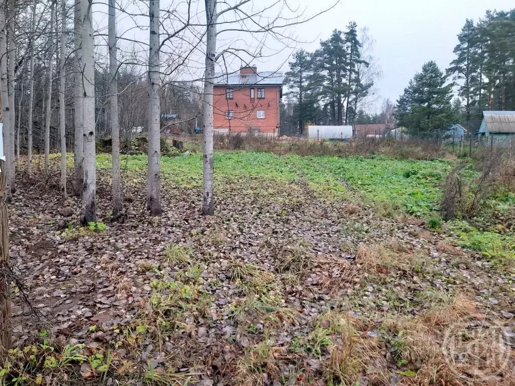 Участок в Ленинградская область, Выборгский район, пос. Поляны проезд ... - Фото 1