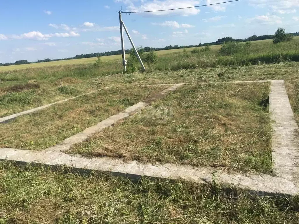 Участок в Калининградская область, Зеленоградский муниципальный округ, ... - Фото 1