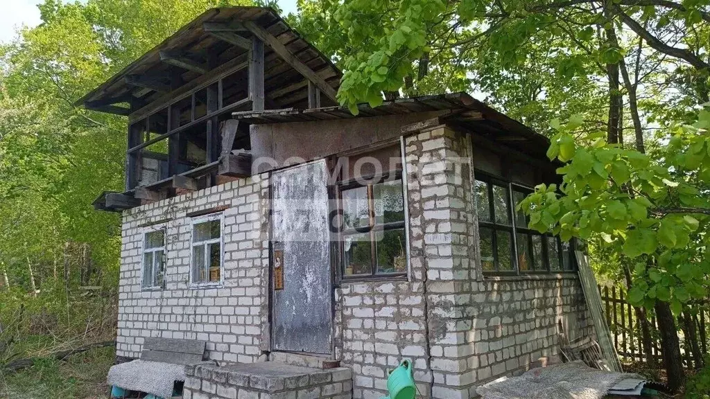 Участок в Приморский край, Надеждинский муниципальный округ, пос. ... - Фото 2