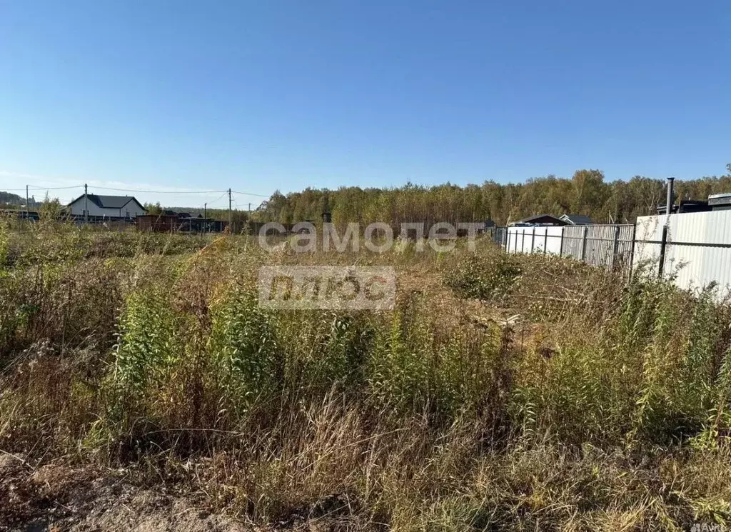 Участок в Московская область, Домодедово городской округ, д. Степыгино ... - Фото 2