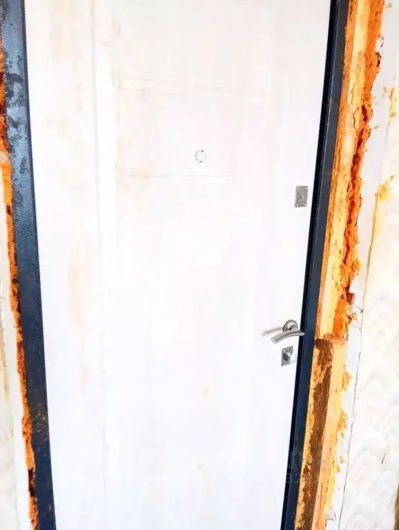 Комната Курская область, Октябрьский район, Прямицыно муниципальное ... - Фото 1