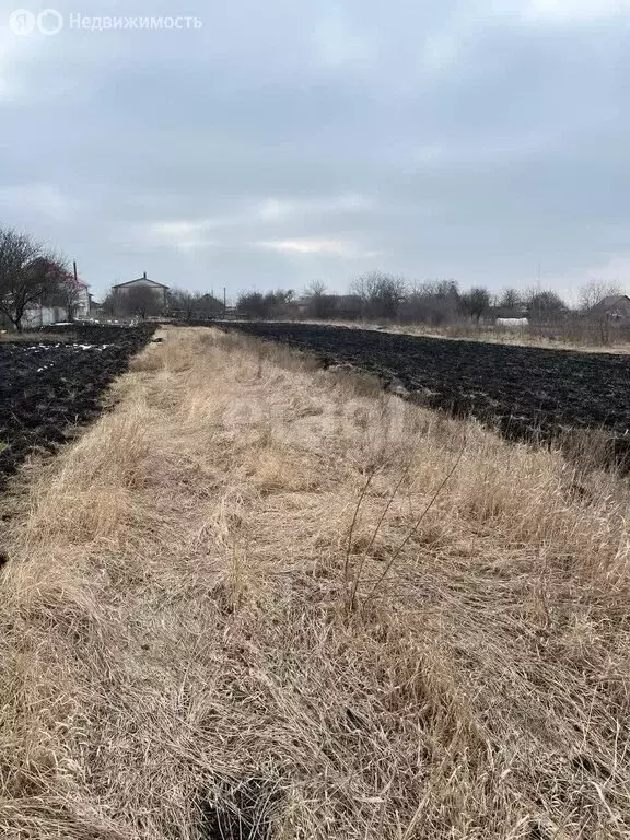 Участок в село Репное, 2-я Центральная улица (26.2 м) - Фото 2