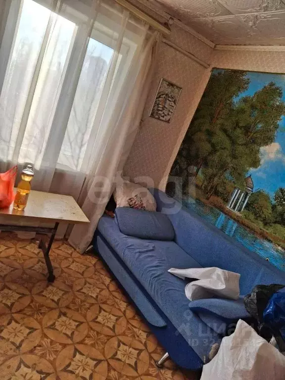 Дом в Амурская область, с. Константиновка ул. Ленина, 116 (54 м) - Фото 1