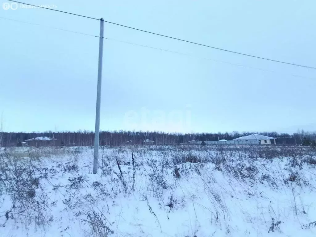 Участок в Шигалеевское сельское поселение, село Новое Шигалеево, ... - Фото 2