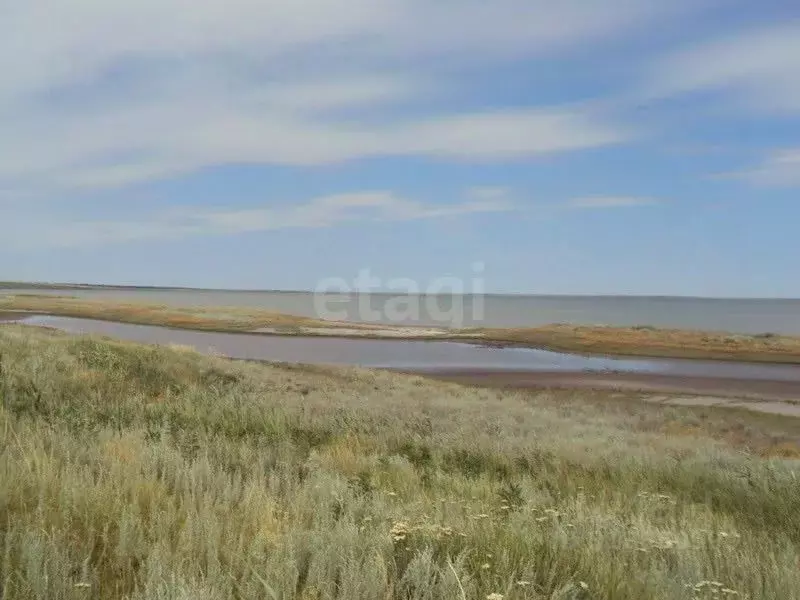 Участок в Калмыкия, Яшалтинский район, с. Березовское  (470.0 сот.) - Фото 1