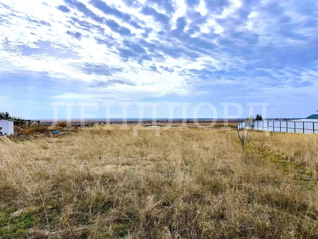 Участок в Ростовская область, Мясниковский район, Недвиговское с/пос, ... - Фото 2