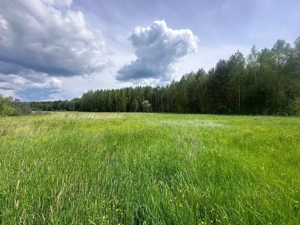 Участок в Московская область, Богородский городской округ, д. Тимково ... - Фото 0