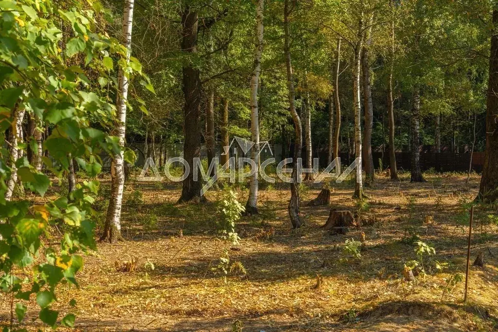 Участок в Московская область, Наро-Фоминский городской округ, д. ... - Фото 1
