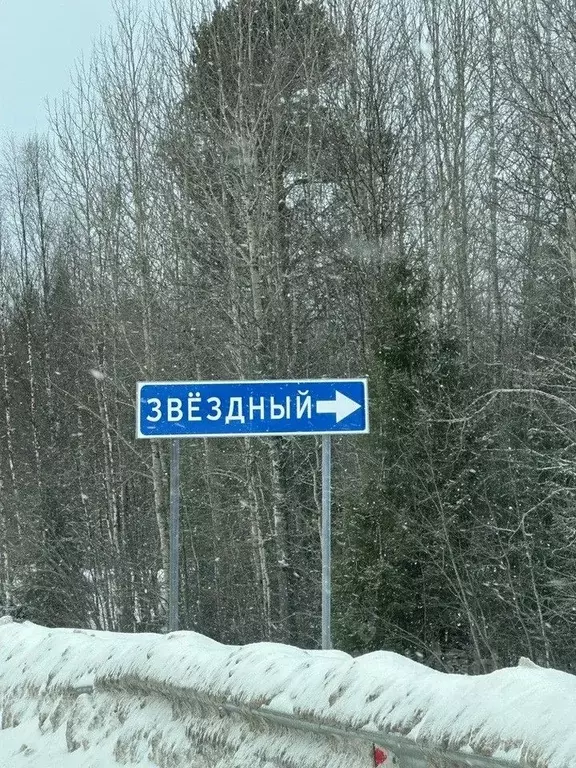 Участок в Архангельская область, Приморский муниципальный округ, Хутор ... - Фото 0