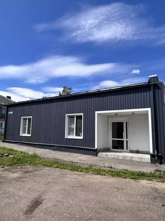 Помещение свободного назначения в Нижегородская область, Кстово пер. ... - Фото 1