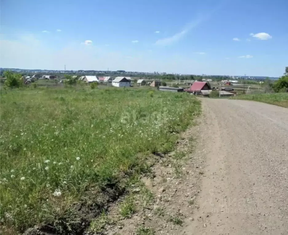 Участок в Кемеровская область, Кемеровский район, с. Елыкаево  (8.0 ... - Фото 1