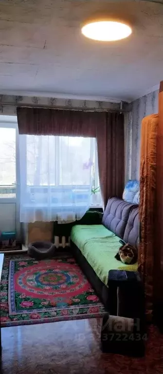 Студия Кемеровская область, Новокузнецк ул. Тореза, 49 (19.7 м) - Фото 1