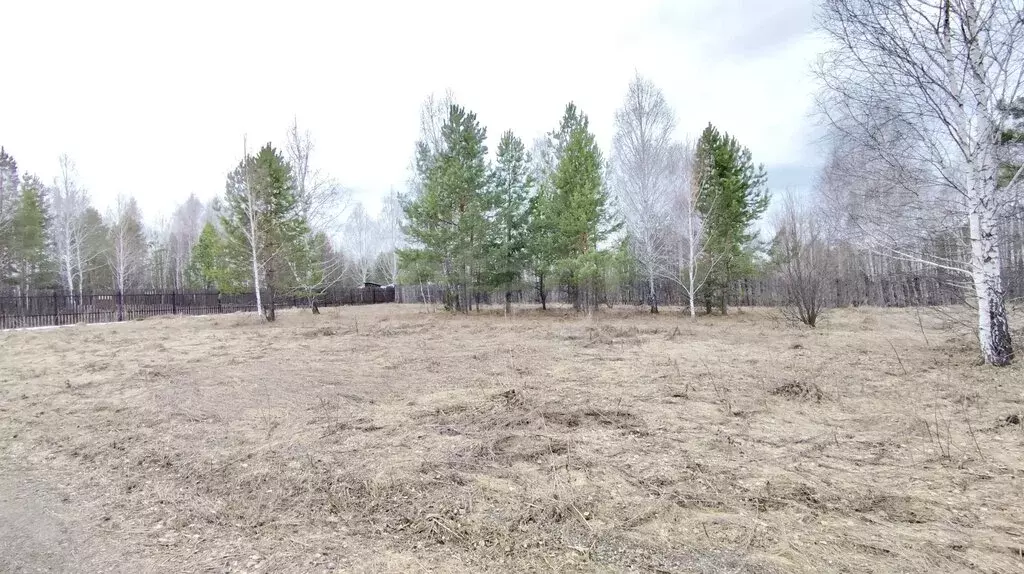 Участок в Курганская область, Кетовский муниципальный округ, ... - Фото 1