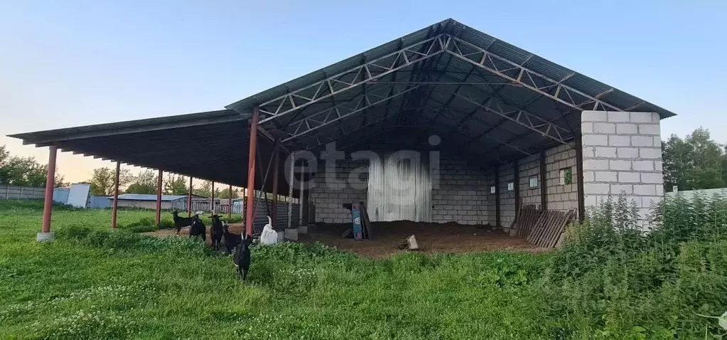 Помещение свободного назначения в Калужская область, пос. Бабынино ул. ... - Фото 1