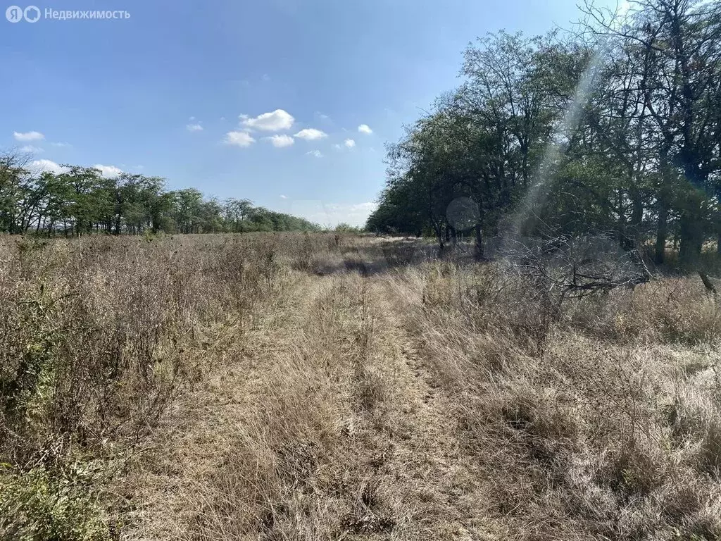 Участок в Симферопольский район, село Мирное (6 м) - Фото 1