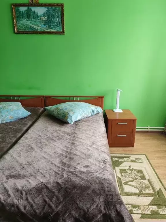 1-к кв. Псковская область, Печоры Рижская ул., 10 (31.0 м) - Фото 2