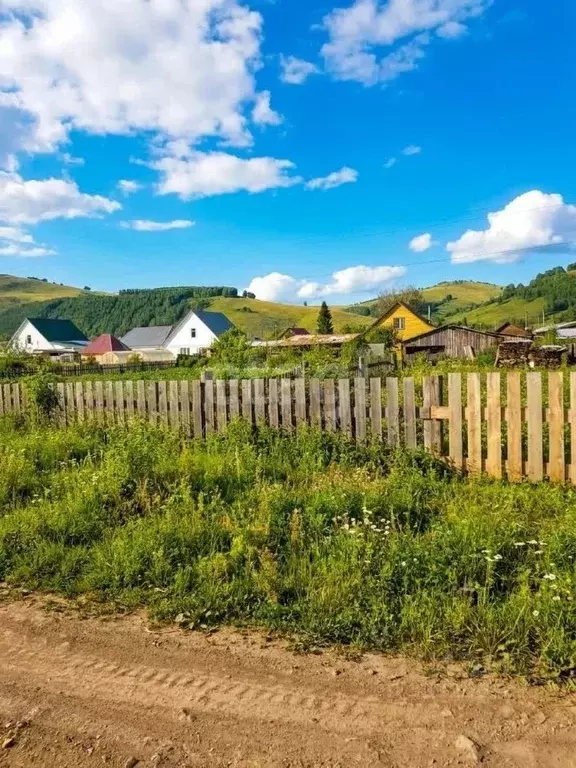 Участок в Алтайский край, Солонешенский район, с. Солонешное ул. ... - Фото 1