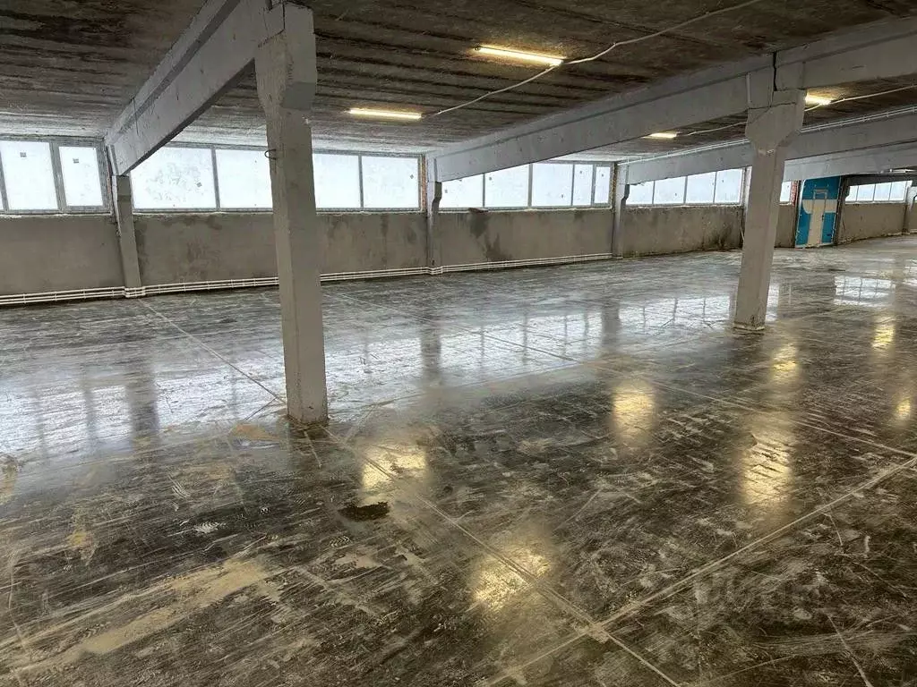 Склад в Московская область, Пушкинский городской округ, д. Митрополье ... - Фото 2