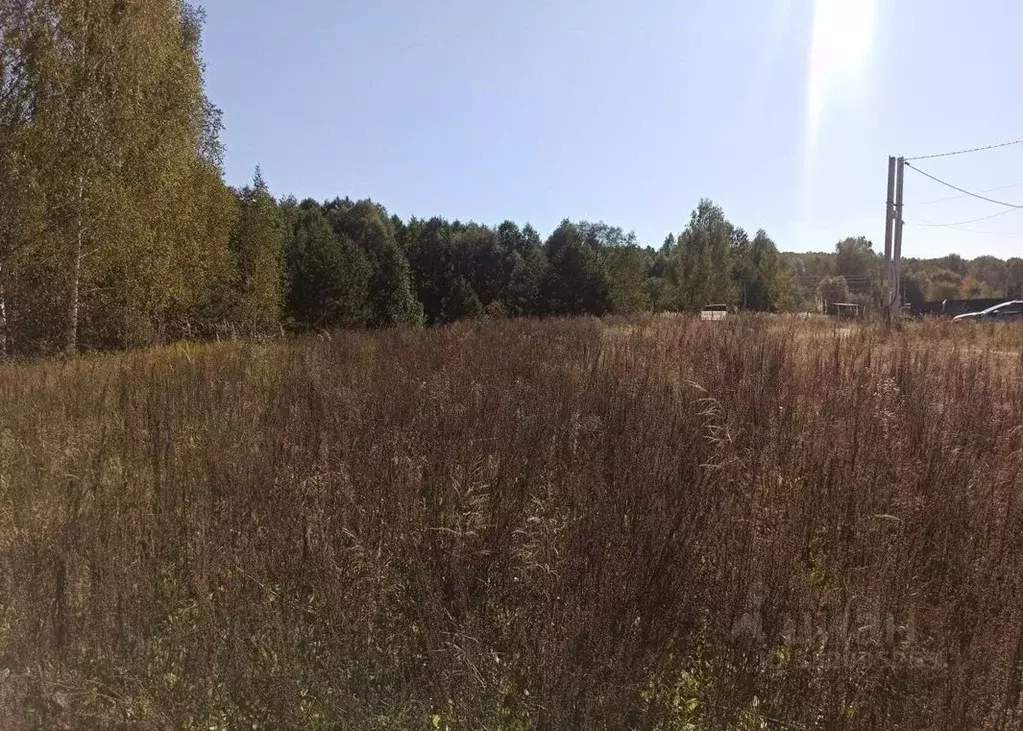 Участок в Татарстан, Зеленодольский район, Айшинское с/пос, с. ... - Фото 1