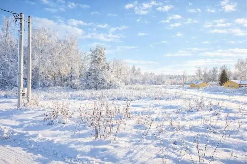 Участок в Московская область, Раменский муниципальный округ, пос. ... - Фото 2