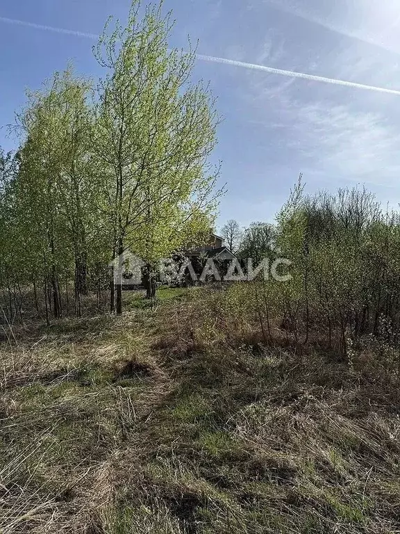 Участок в Нижегородская область, Нижний Новгород д. Анкудиновка,  (7.0 ... - Фото 0