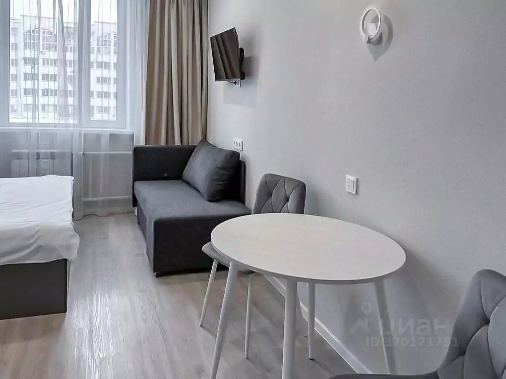 1-к кв. Новосибирская область, Новосибирск ул. Кирова, 113/2 (22.0 м) - Фото 2