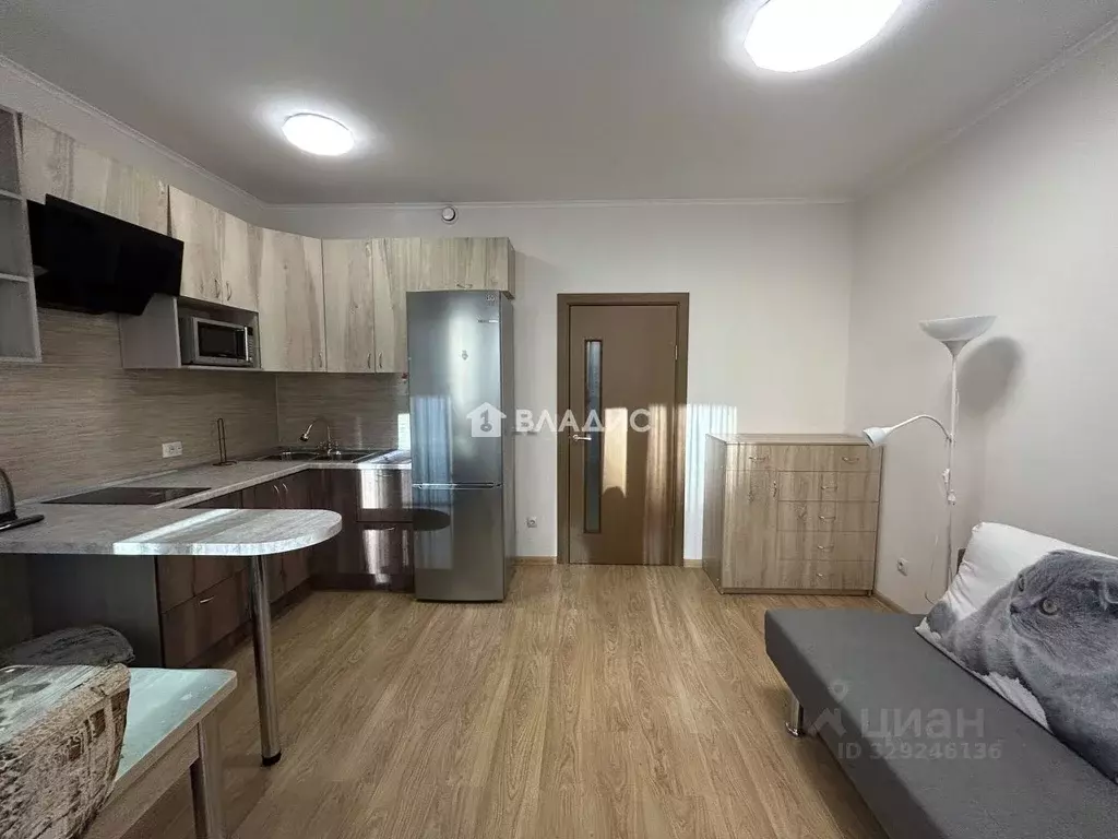 Студия Ленинградская область, Мурино Всеволожский район, аллея ... - Фото 2