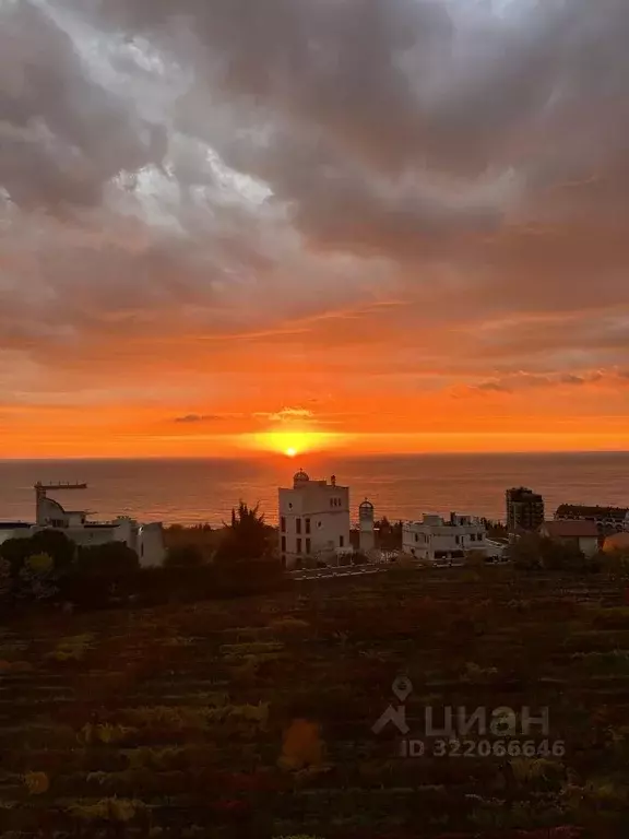 Студия Крым, Ялта муниципальный округ, Ливадия пгт ул. Виноградная, 1Е ... - Фото 2