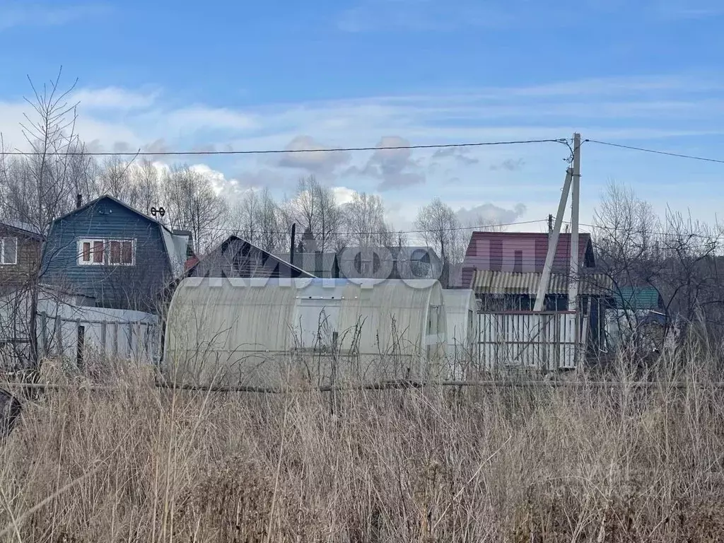Дом в Новосибирская область, Новосибирск  (55 м) - Фото 1