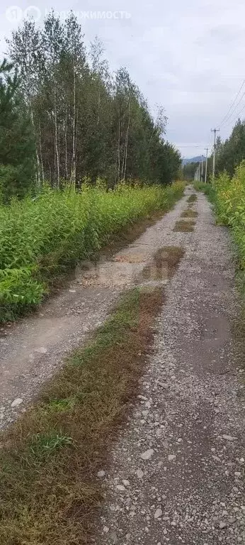 Участок в Майминский район, Соузгинское сельское поселение, посёлок ... - Фото 2