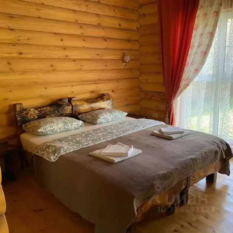Дом в Алтай, Чемальский район, с. Анос пер. Дачный, 2 (24 м) - Фото 0