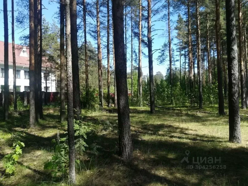 Участок в Ленинградская область, Всеволожск ш. Южное (56.5 сот.) - Фото 0