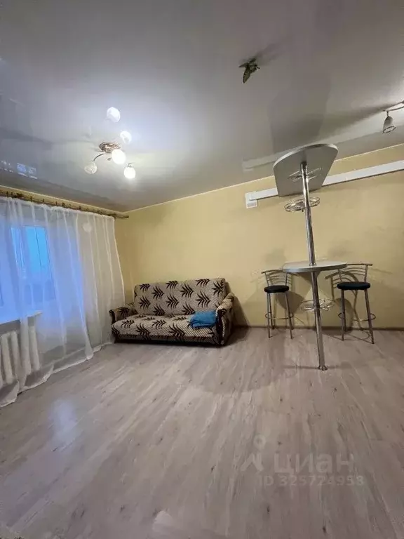 Студия Псковская область, Псковский район, Завеличенская волость, д. ... - Фото 2